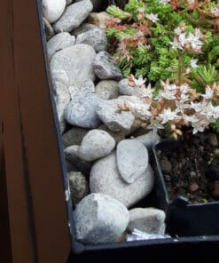 keien